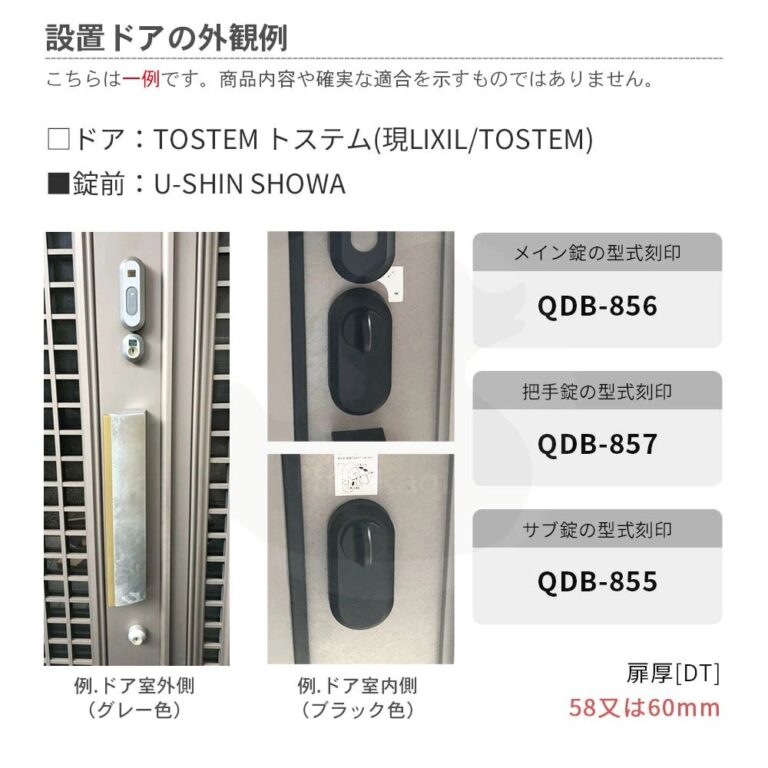 10004620